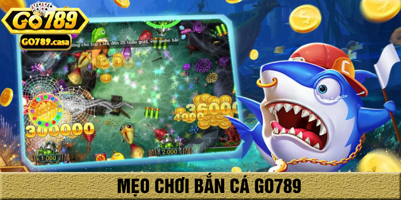 Bắn Cá Go789 – Trò Chơi Giải Trí Đổi Thưởng Cực Đã, Nhận Thưởng Cực Nhanh 4 Mẹo chơi bắn cá go789 của cao thủ